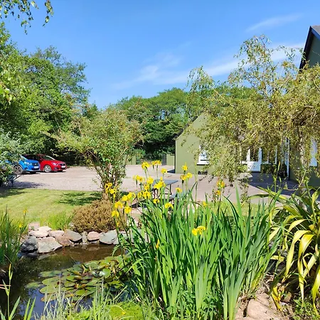 Bed & Breakfast Alderwood House *