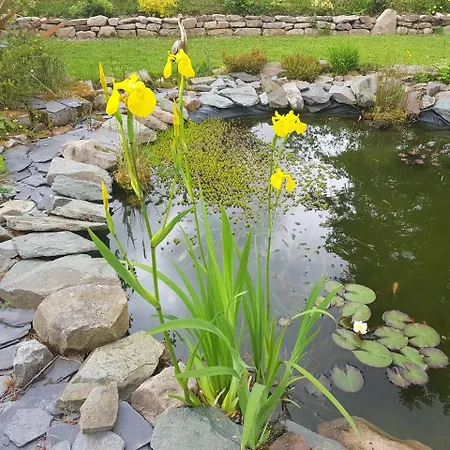 Alderwood House Bed & Breakfast