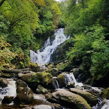 Alderwood House Σπίτι διακοπών Castlemaine