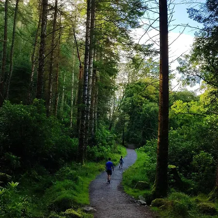 Σπίτι διακοπών Alderwood House *