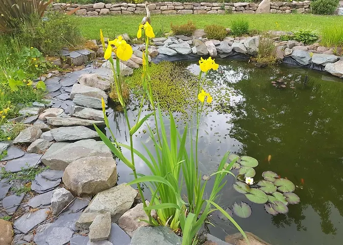 Alderwood House Casa vacanze