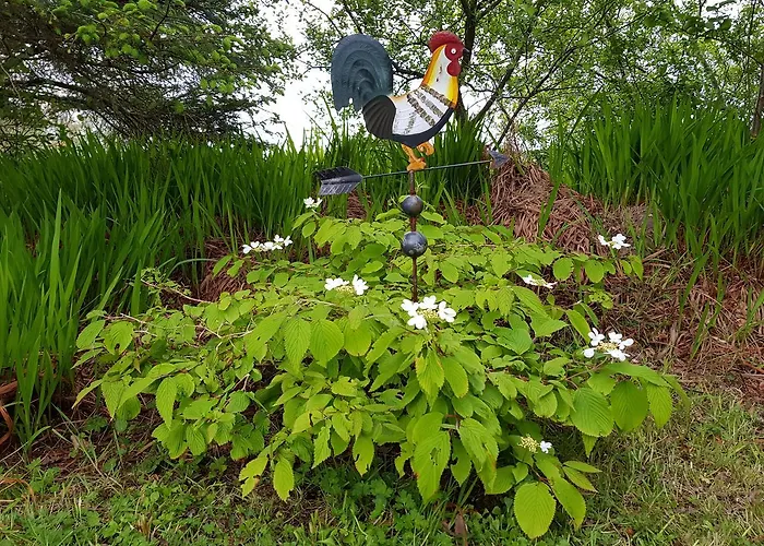 Alderwood House Casa vacanze *