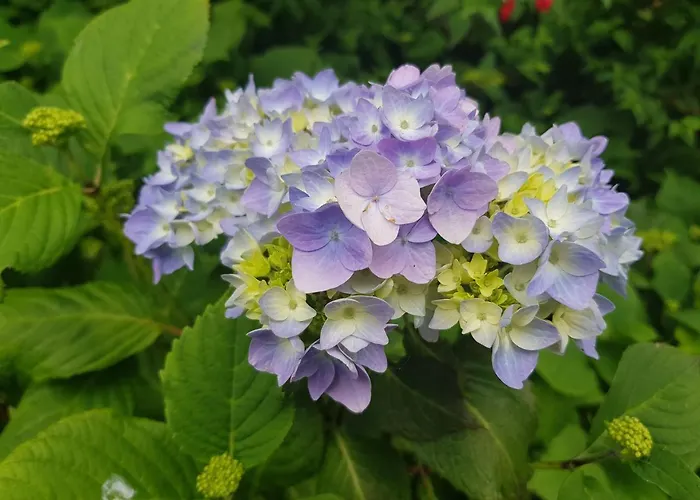 Casa vacanze Alderwood House