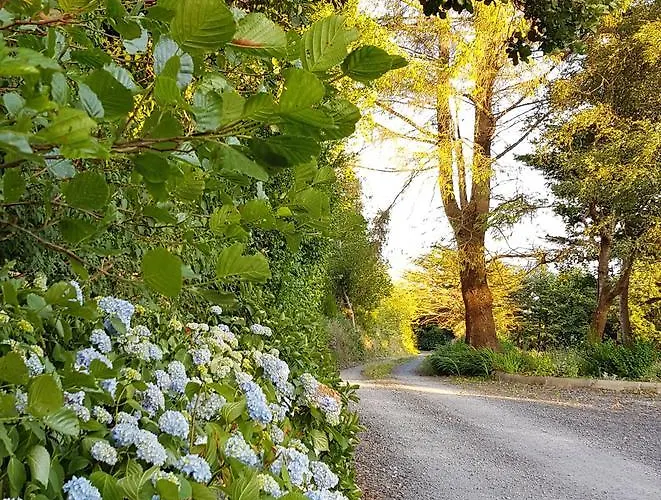 Alderwood House Castlemaine