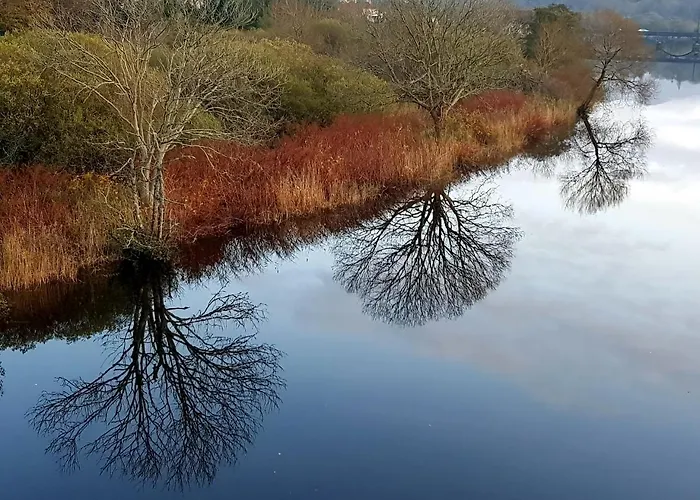 Alderwood House Casa vacanze *