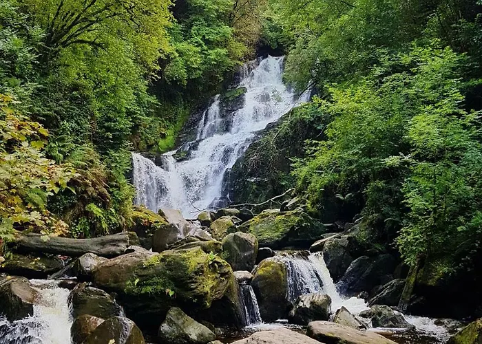 Alderwood House Casa vacanze Castlemaine