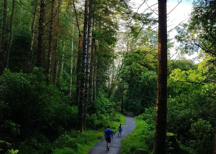 Casa vacanze Alderwood House *